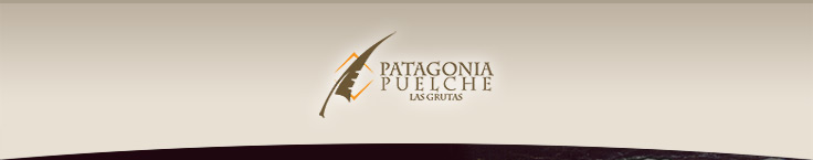 Patagonia Puelche