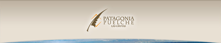 Patagonia Puelche