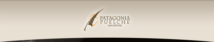 Patagonia Puelche