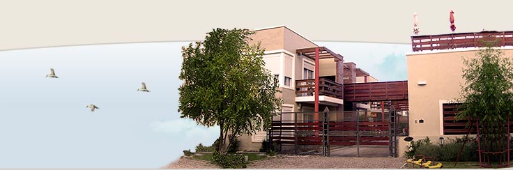 Patagonia Puelche